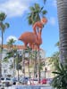 front side of shopping center in Aruba, walking from ship to Surfside Beach