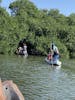 river ride through the mangroves