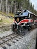 White Pass and Yukon Railroad.  Awesome !