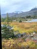 Train ride through the Yukon from Canada