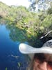 Cenotes & Zip Lining what an AWESOME Combo!