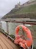 Middle Rhine Scenic Cruise