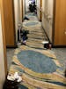 Hallways every day and night. Housekeeping staff refused to pick up.