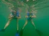 Swimming with Sea turtles with "Try Scuba" excursion