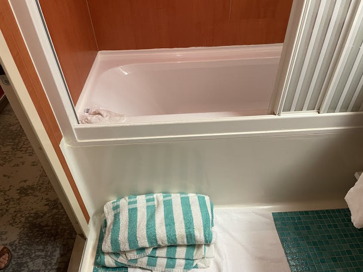 Needed towels to get in and out of tub. - Norwegian Jade