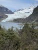 Mendenhall Glacier