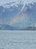 Glacier Bay