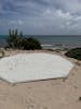 Near Grand Turk Whale Statue