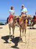 Camel ride