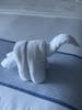 Towel animals