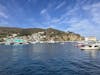 Catalina harbor