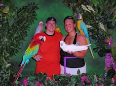 Charlotte Amalie, St. Thomas - St. Thomas excursion on the Skyride... Bird show and picture with the birds