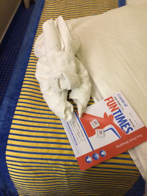 Towel animal - Carnival Sunshine