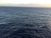 Vast Ocean