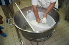 Sorrento, Italy - Dairy Tour