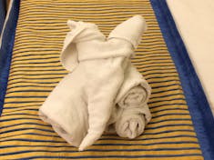 Towel aminal