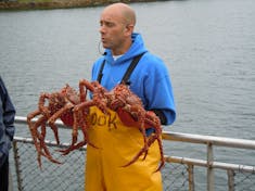 Crab Fishing Excursion near Juneau