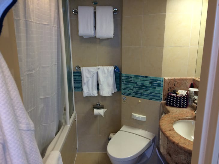 The second bathroom - Oasis of the Seas