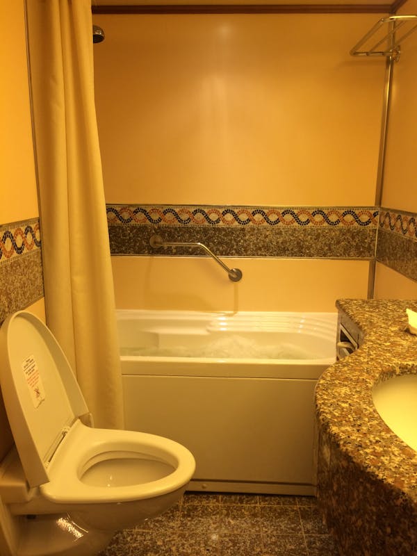 Bathroom in a suite - Carnival Ecstasy