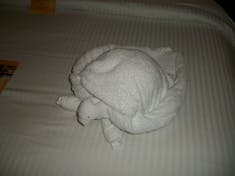 Turtle towel critter