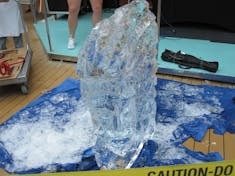 ice sculpture demonstration