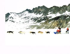 Dog SLedding