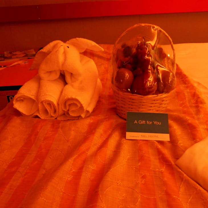 Gift Basket for Back to Back Cruiers (Thoughtful & Nice) - Carnival Elation