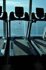 Gym on Royal Princess