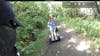 Segway through forest