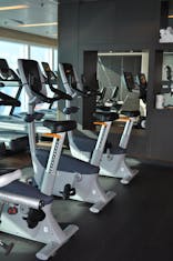 Gym on Royal Princess