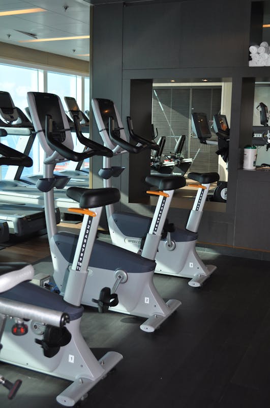 Gym on Royal Princess - Royal Princess