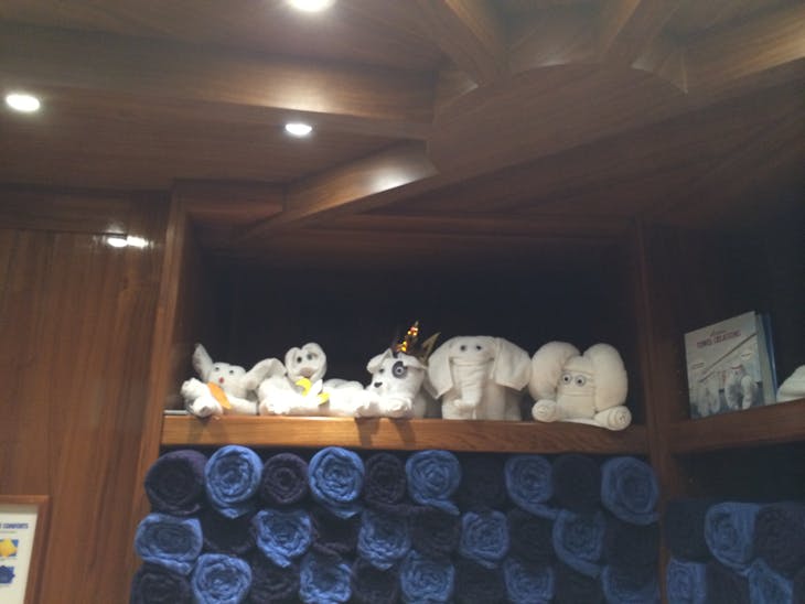 Towel animals - Carnival Sunshine