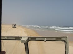 Thousands of miles of these beaches in West Africa