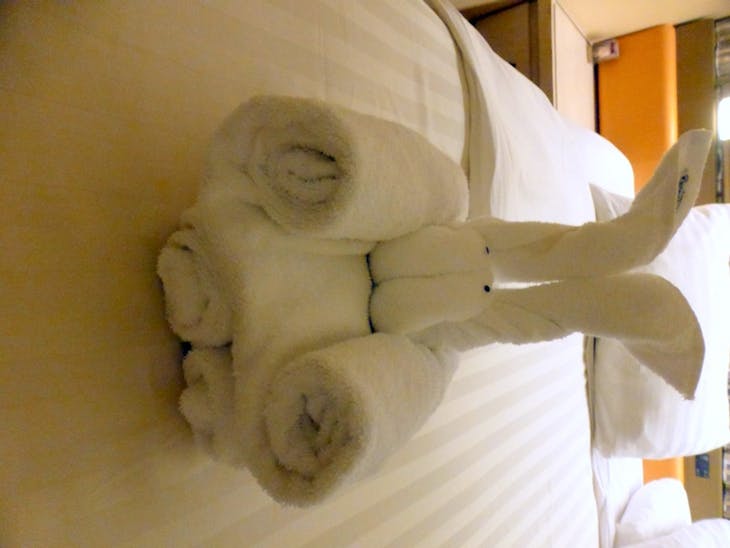 Towel animal - Amsterdam