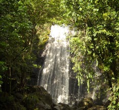 San Juan, Puerto Rico - A waterfall in El Yunque