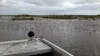 Visiting the Florida Everglades: front of hovercraft