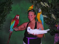 Charlotte Amalie, St. Thomas - My Feathered Friends