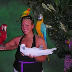 Charlotte Amalie, St. Thomas - My Feathered Friends
