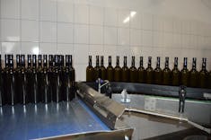 Durnstein, Austria - Morewald Winery Bottling Line
