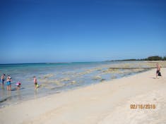 Paradise Cove - Freeport, Bahamas