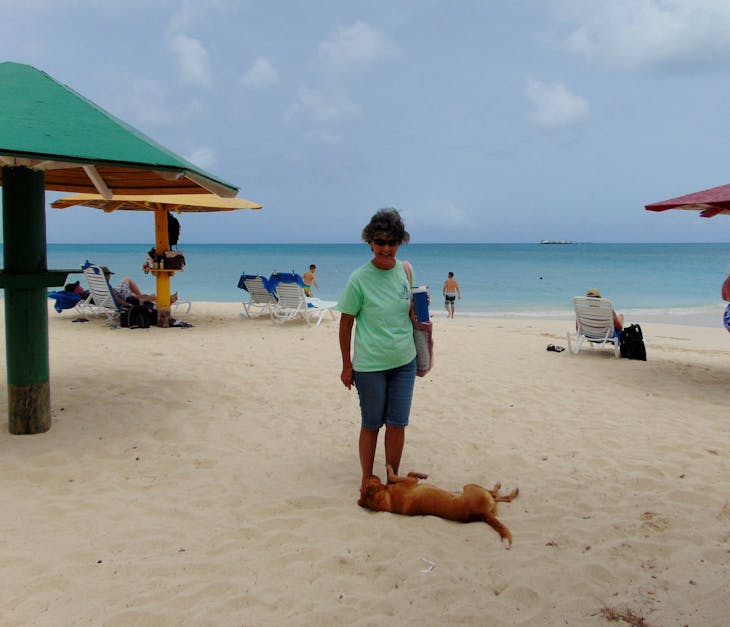Mom couldn't resist the resident stray on Runaway Bay. At least they feed him.  - Carnival Sunshine