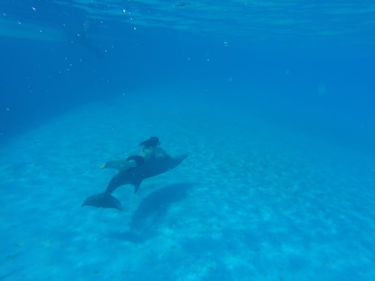 Cabo San Lucas, Mexico - swimming under water with the dolphin