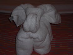 Towel elephant