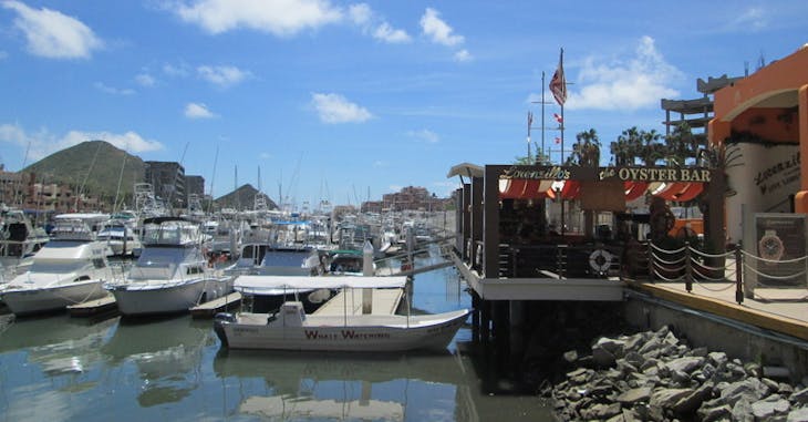 Cabo San Lucas, Mexico - Cabo Marina