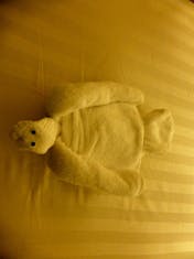 Turtle Towel Animal