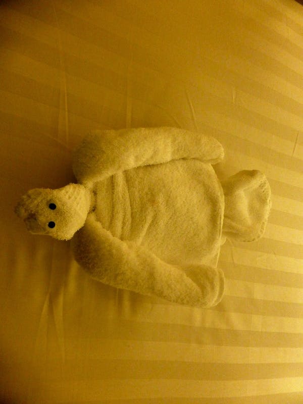 Turtle Towel Animal - Amsterdam