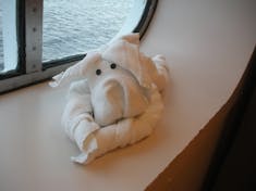 Love the towel animals on Carnival!