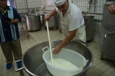 Sorrento, Italy - Dairy Tour