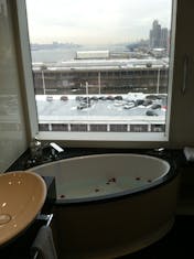 Tub in owner's suite