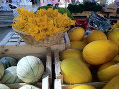 Toulon, France - Squash at the market in Aix